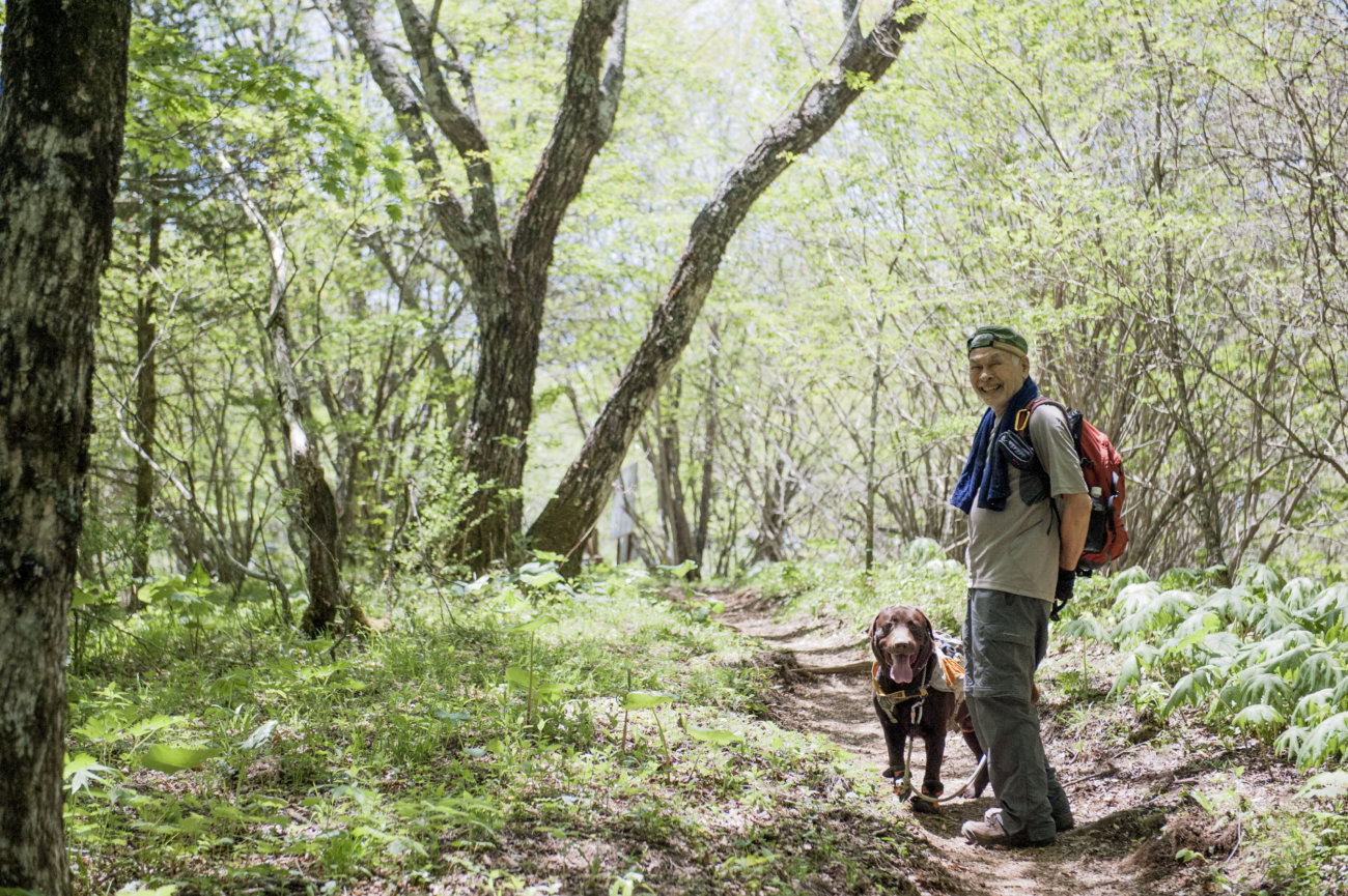 レトリーバー,夏遊び