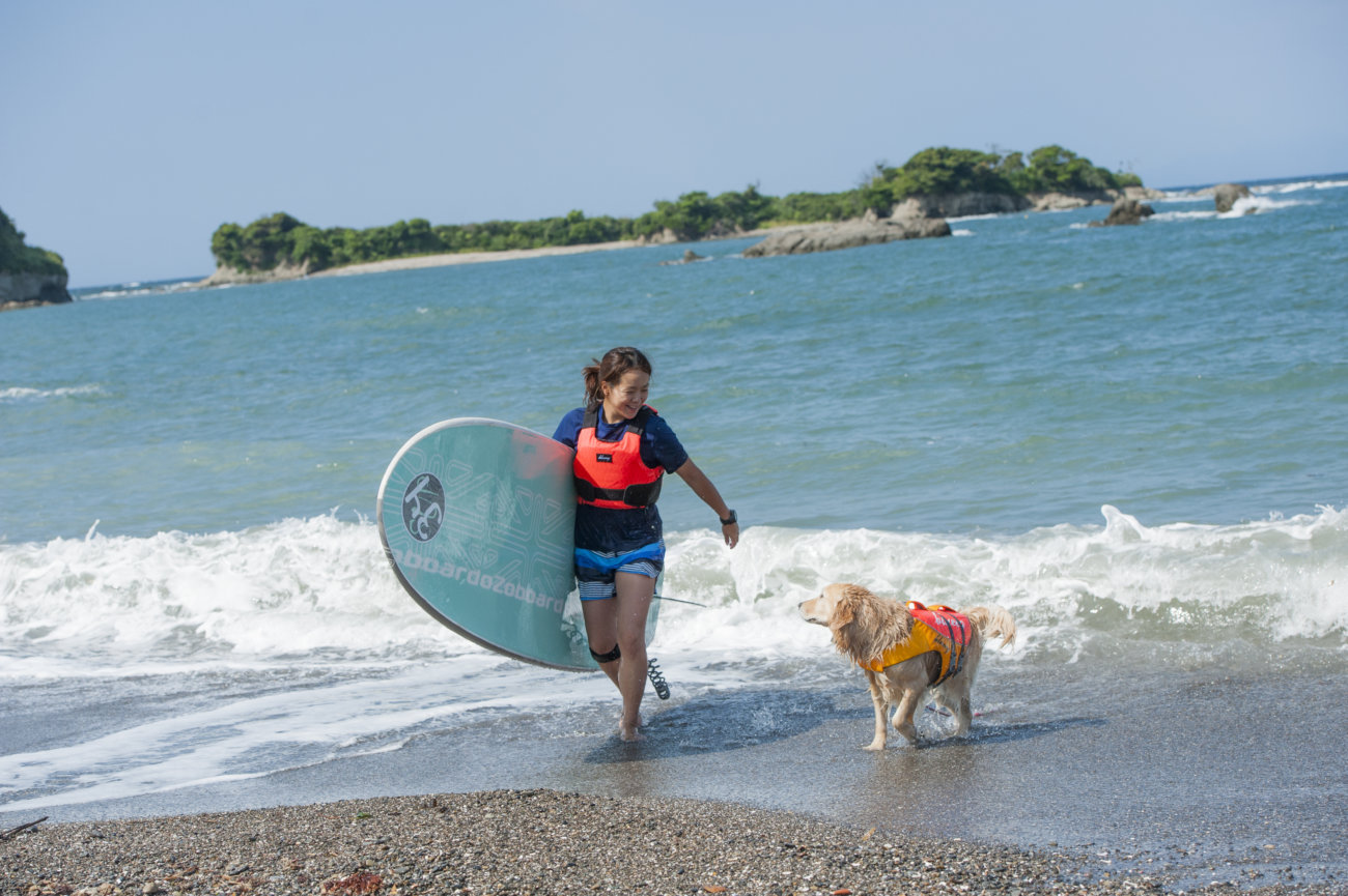 レトリーバー,夏遊び