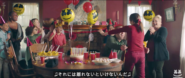 ラブラドールレトリーバー,動画