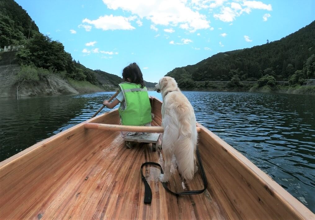 ゴールデンレトリーバー,トレーナー