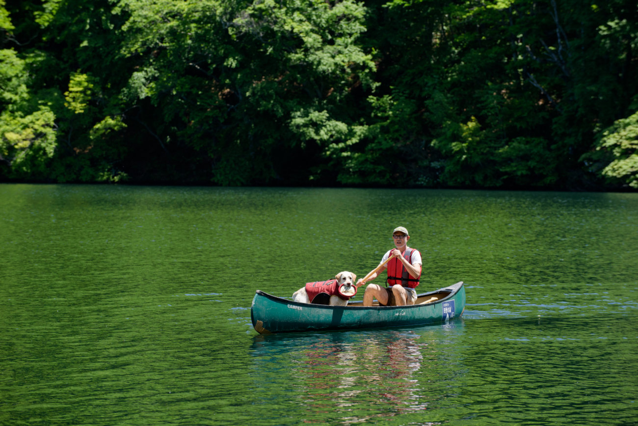 レトリーバー,夏遊び