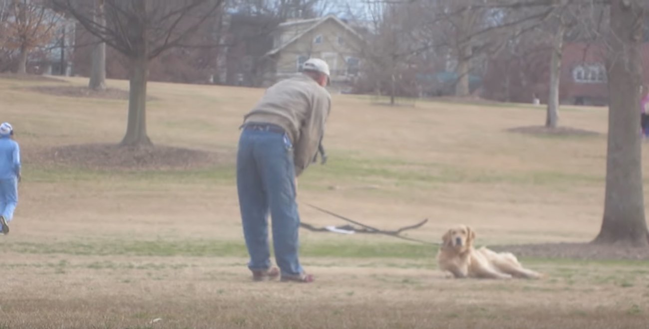 ゴールデンレトリーバー,拒否