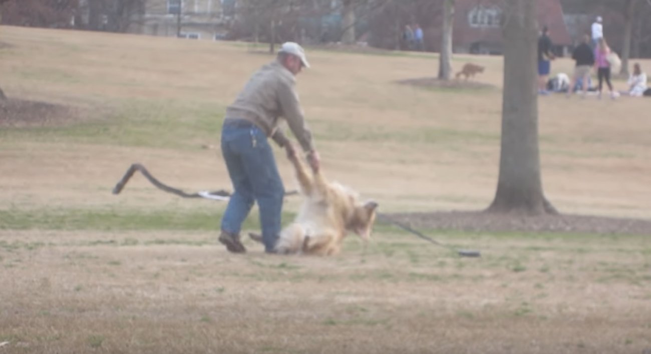 ゴールデンレトリーバー,拒否