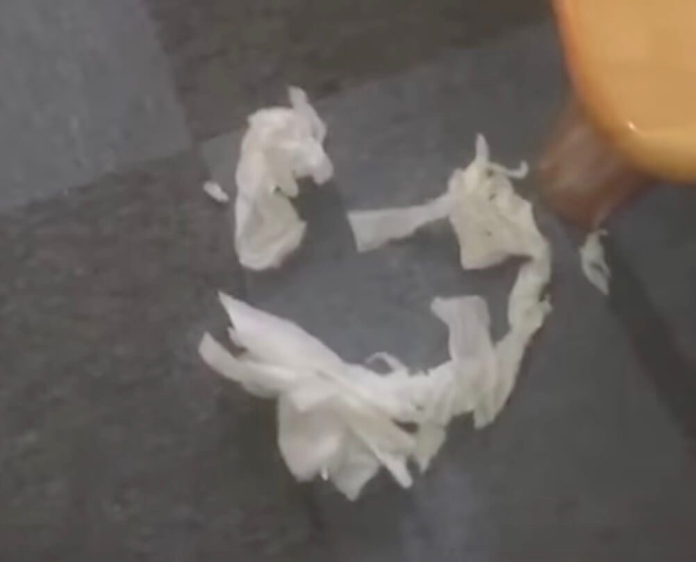 ラブラドール,動画