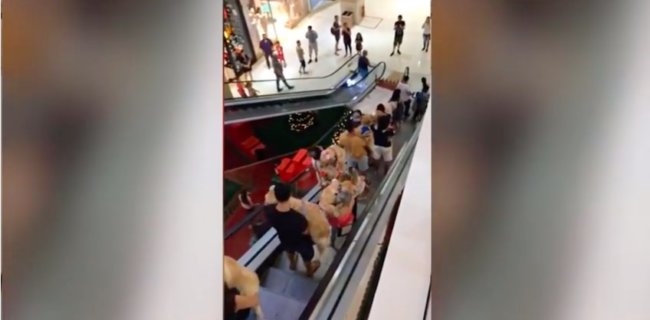 ゴールデンレトリーバー,YouTube