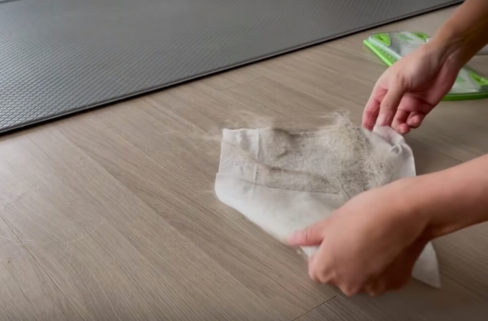 ゴールデンレトリーバー,動画