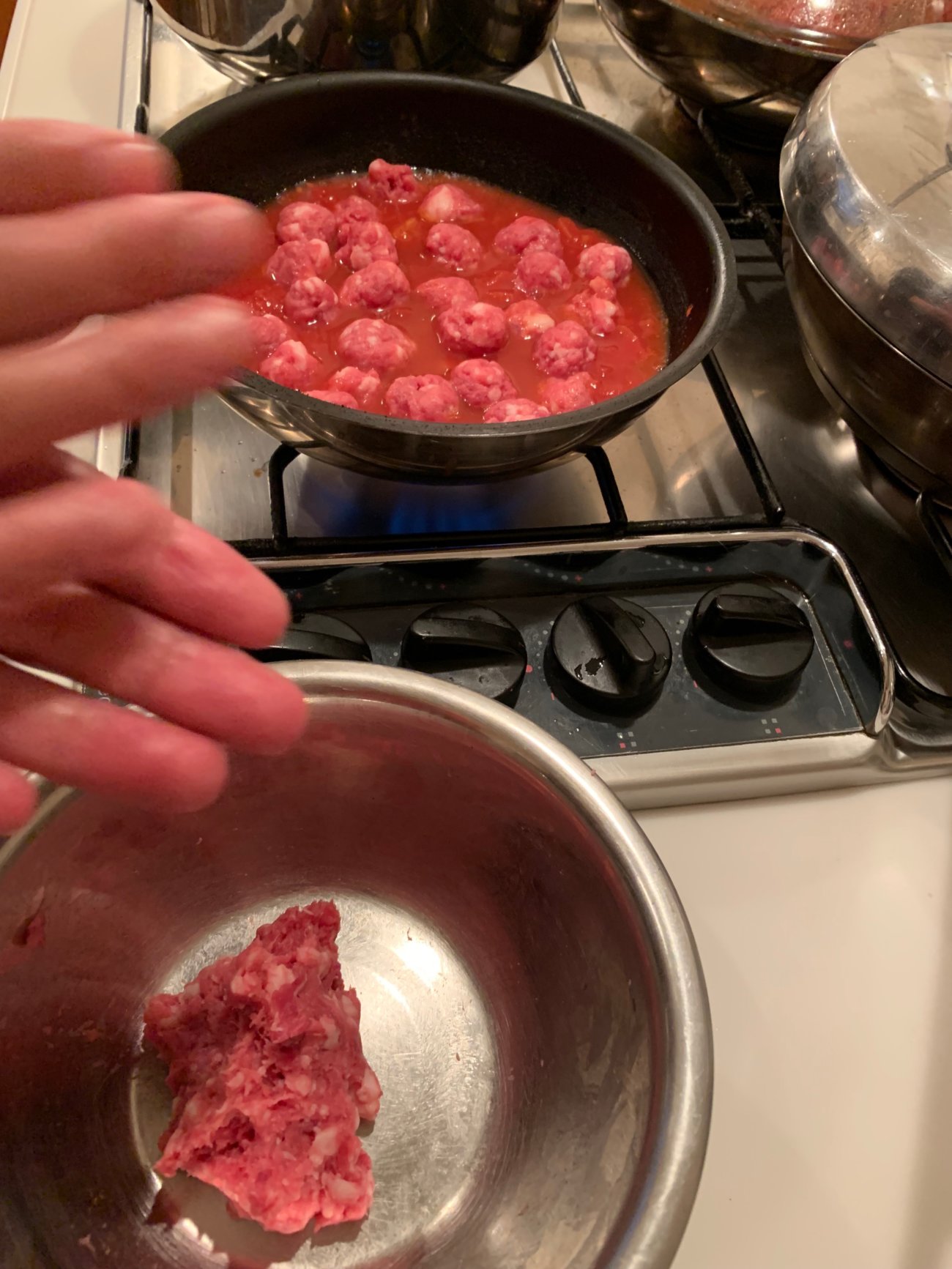 レトリーバー,ごはん