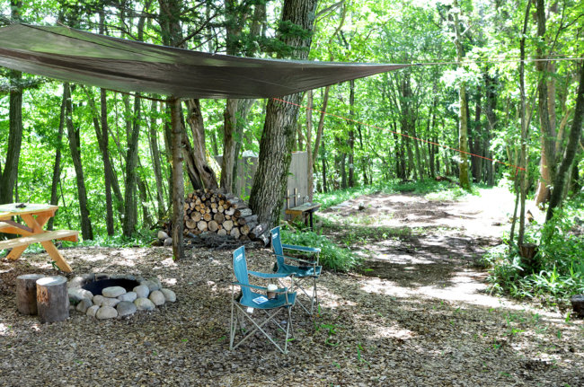 ゴールデンレトリーバー,キャンプ