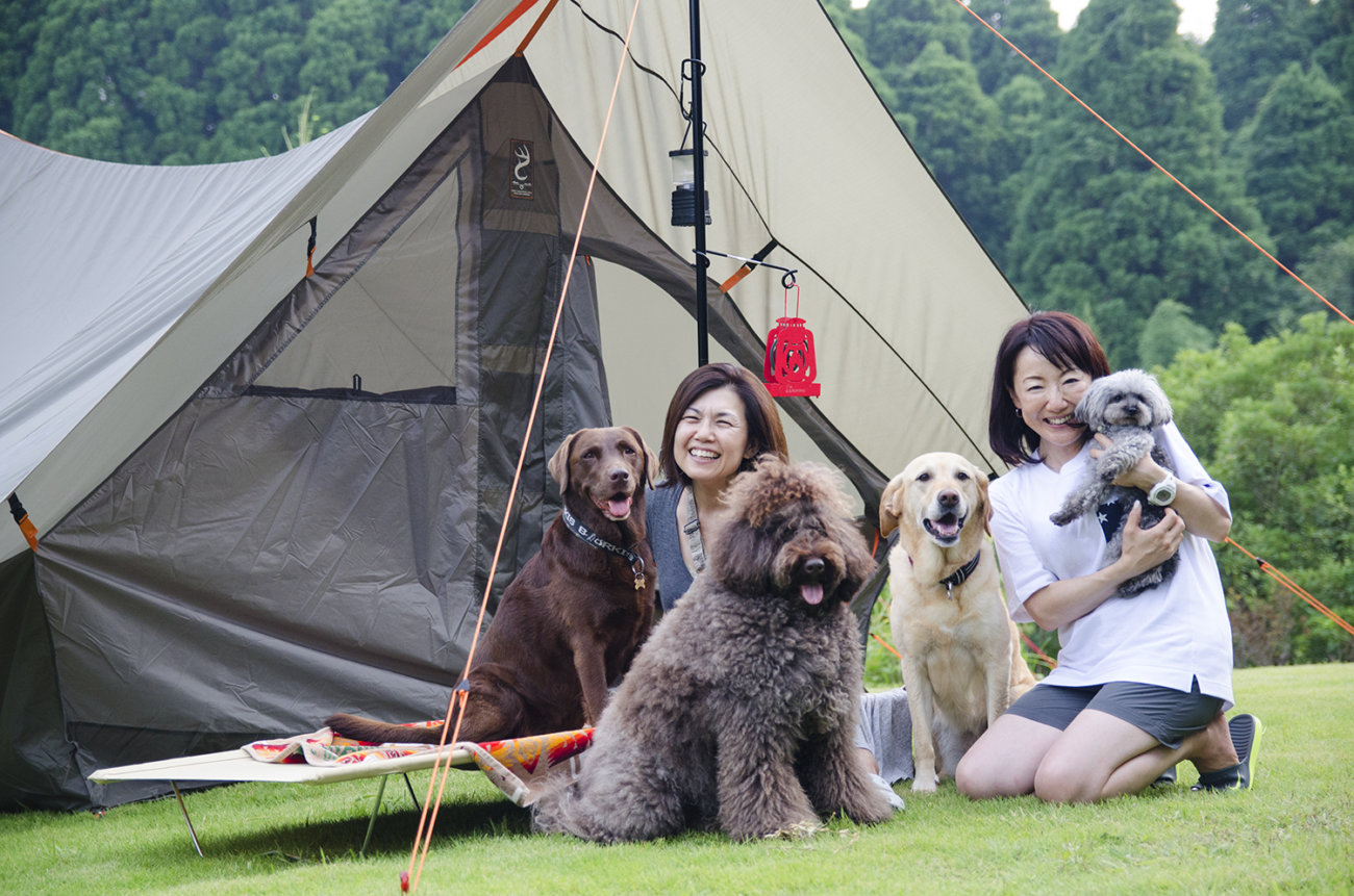 ゴールデンレトリーバー,キャンプ