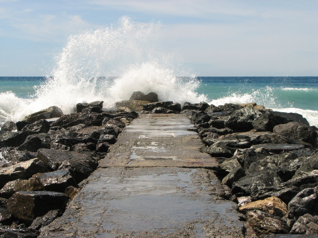 レトリーバー,マンボウやしろ