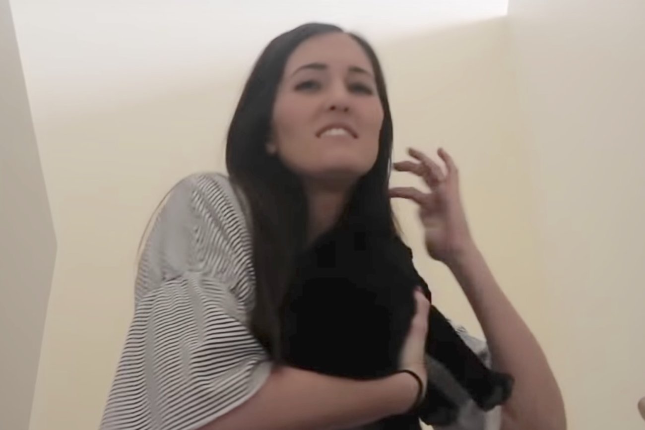 ラブラドールレトリーバー,動画