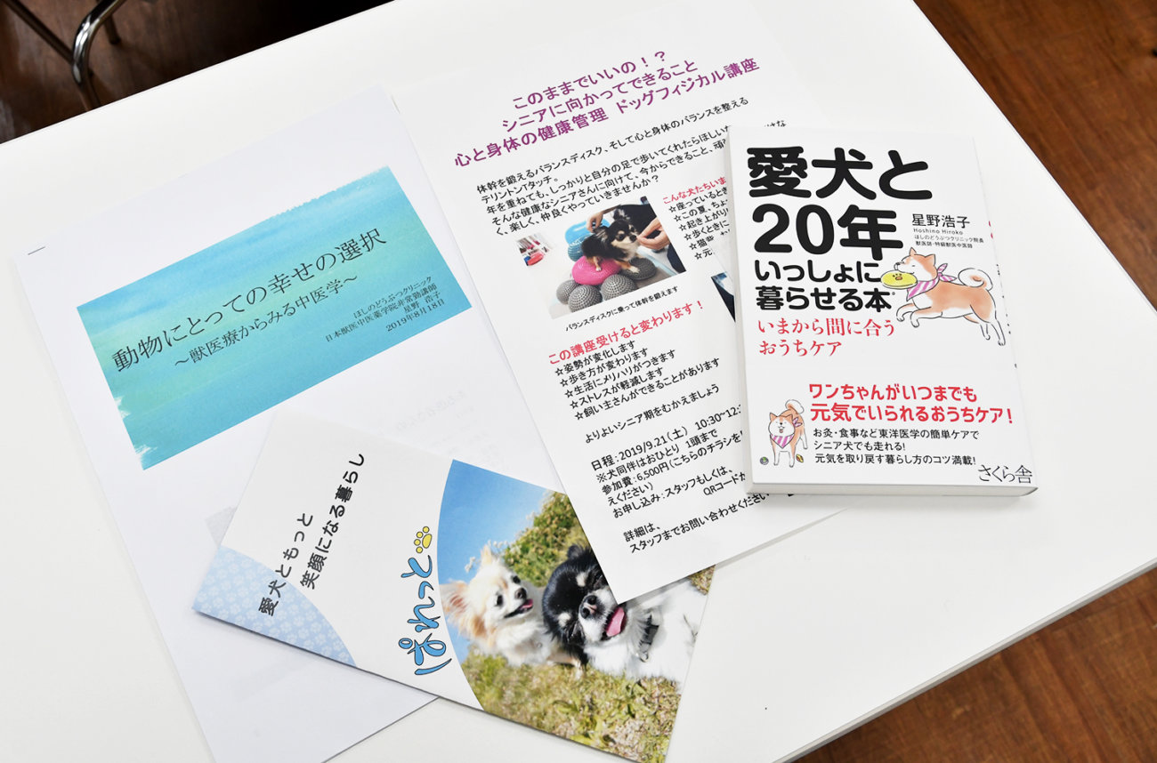 レトリーバー,健康