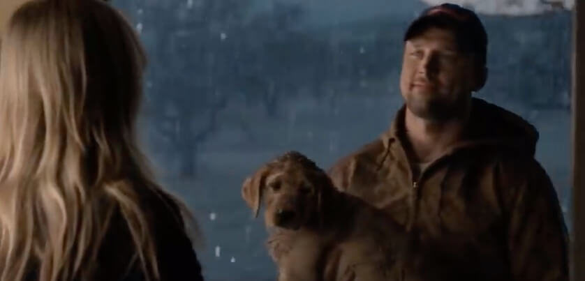 ラブラドールレトリーバー,動画