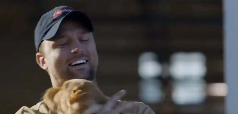 ラブラドールレトリーバー,動画