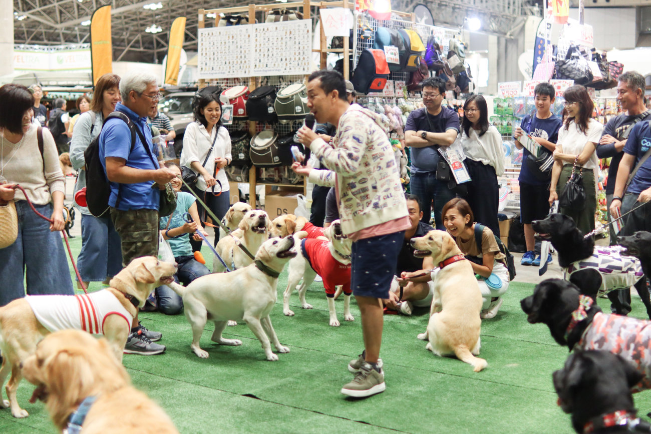 カートラジャパン,レトリーバー