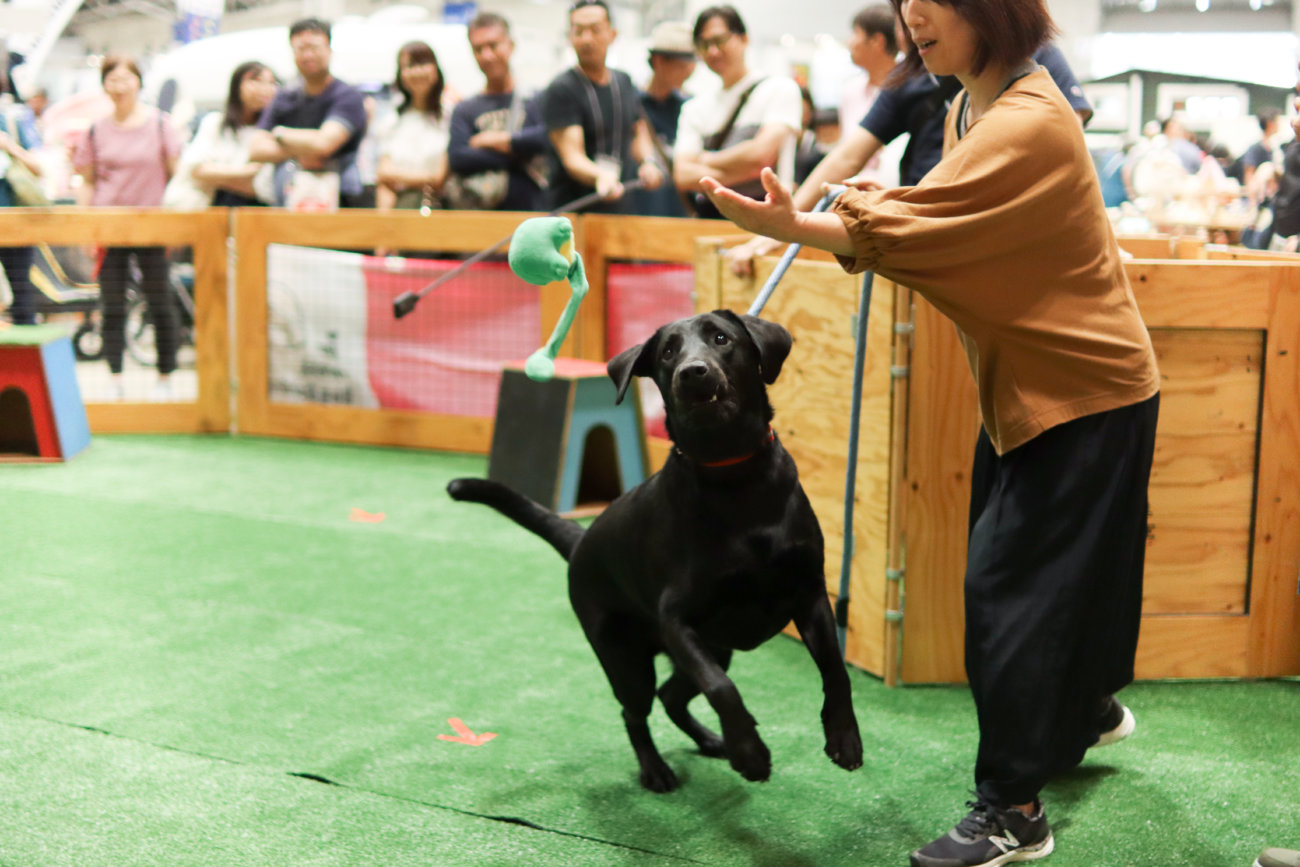 カートラジャパン,レトリーバー