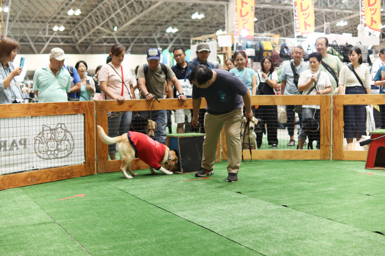 カートラジャパン,レトリーバー