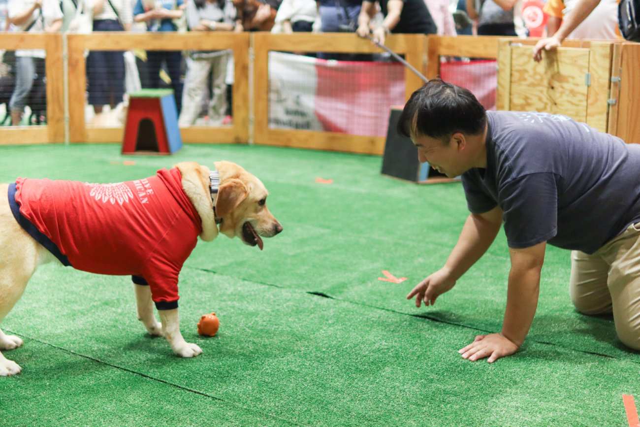 カートラジャパン,レトリーバー