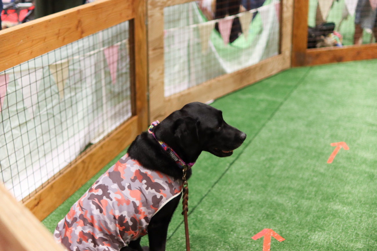 カートラジャパン,レトリーバー