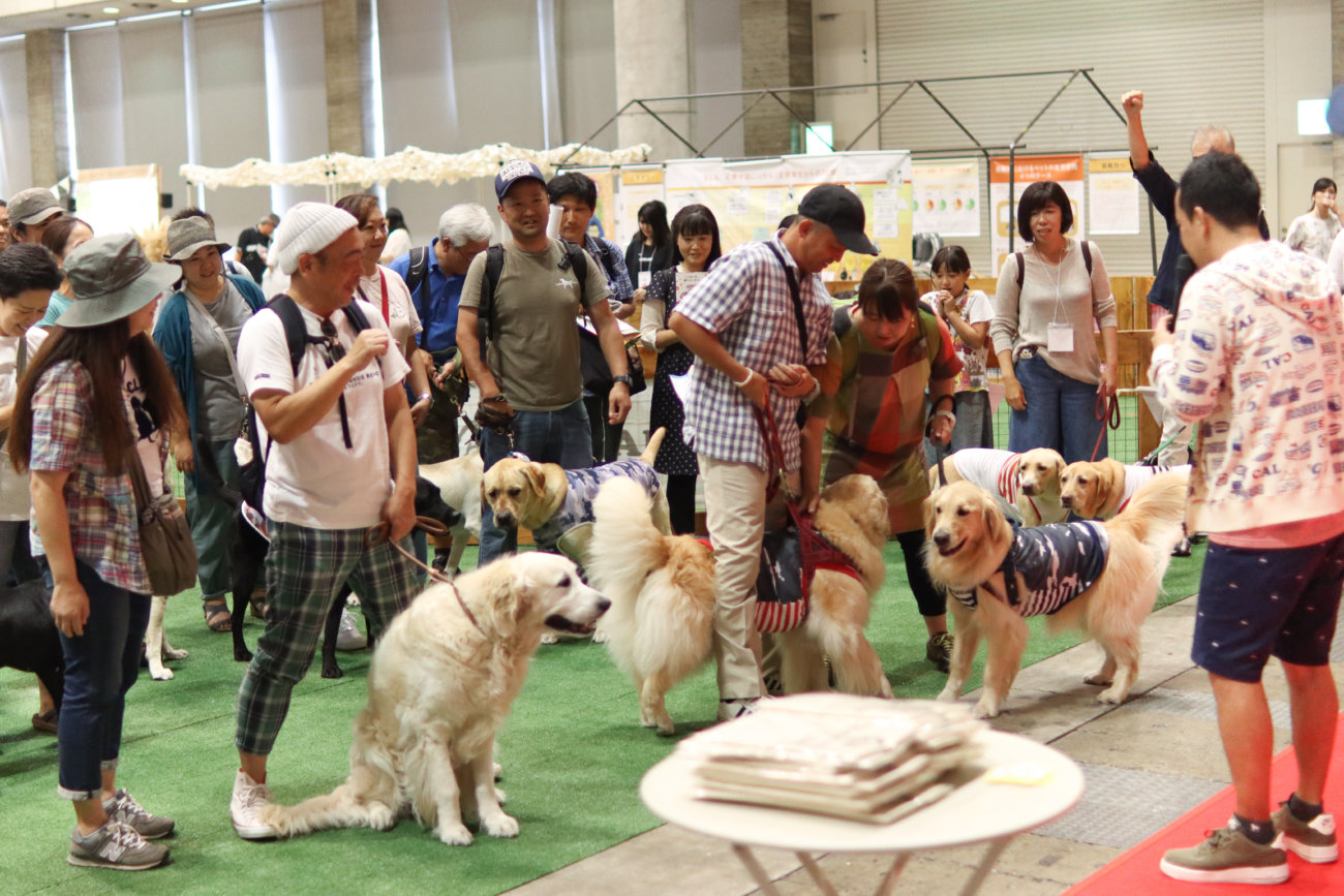 カートラジャパン,レトリーバー