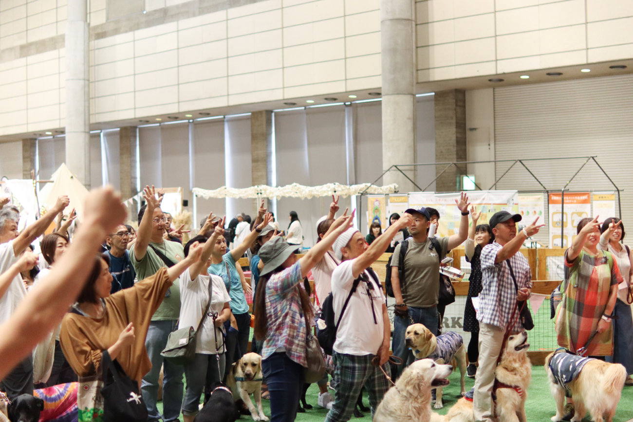 カートラジャパン,レトリーバー