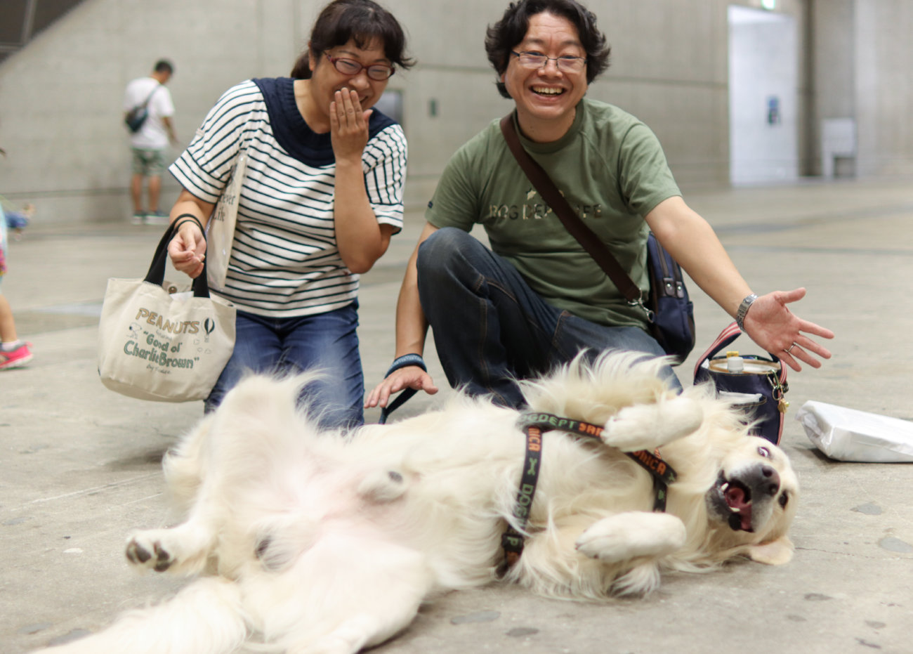 カートラジャパン,レトリーバー