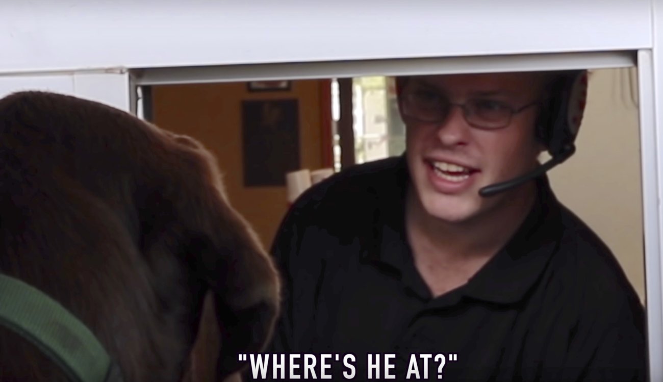 ラブラドールレトリーバー,動画