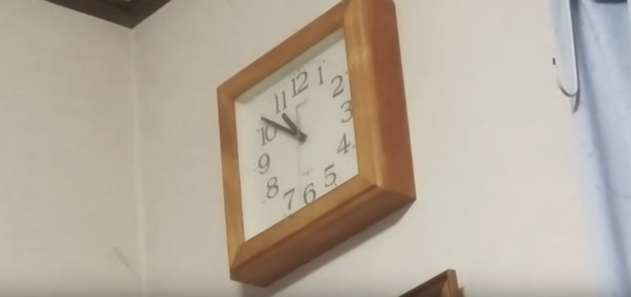 ゴールデンレトリーバー,動画