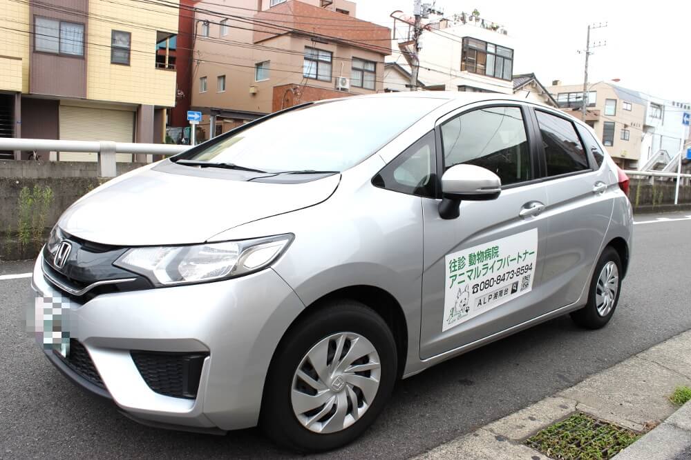 レトリーバー,健康