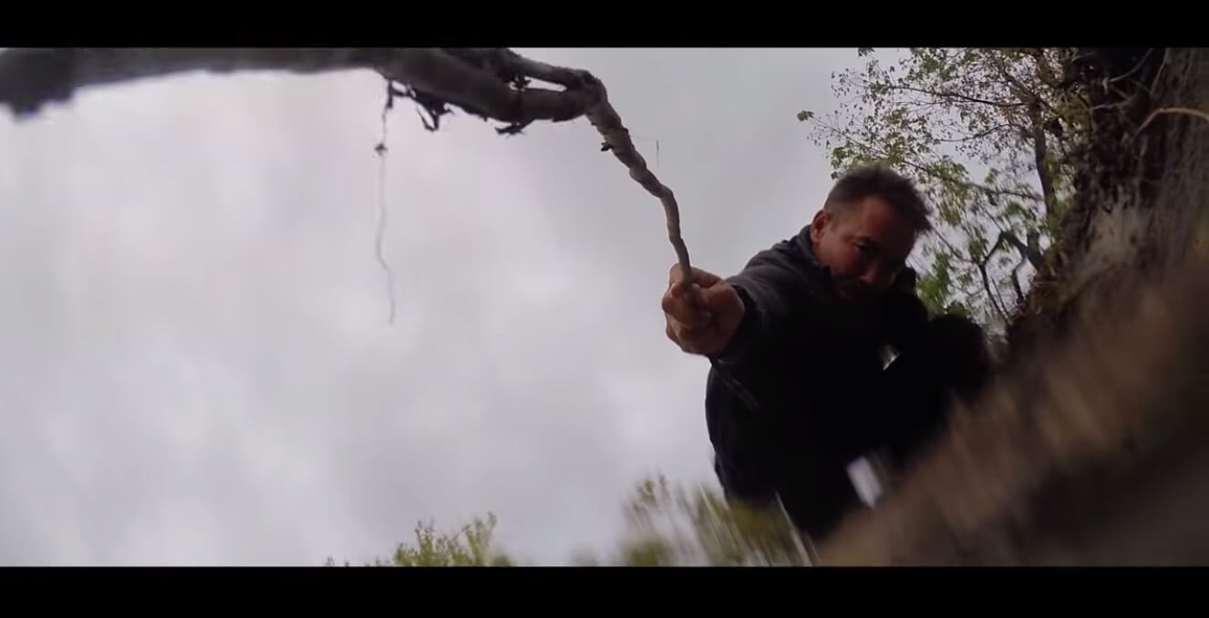 ラブラドールレトリーバー,動画