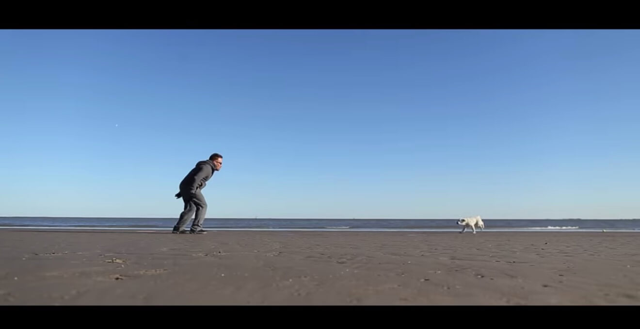 ラブラドールレトリーバー,動画