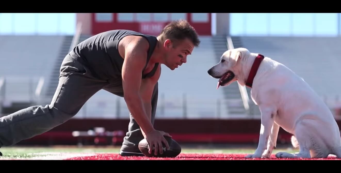 ラブラドールレトリーバー,動画