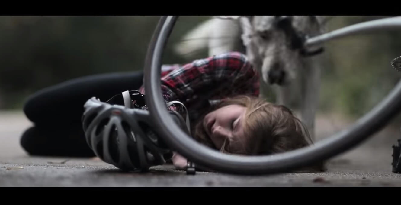 ラブラドールレトリーバー,動画