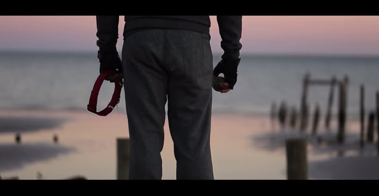 ラブラドールレトリーバー,動画