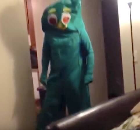 ゴールデンレトリーバー,動画