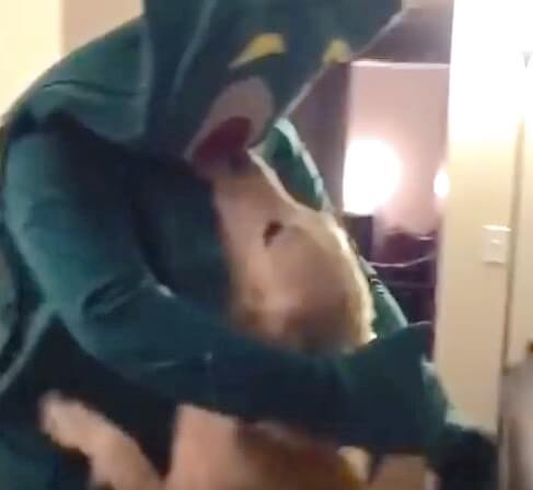 ゴールデンレトリーバー,動画