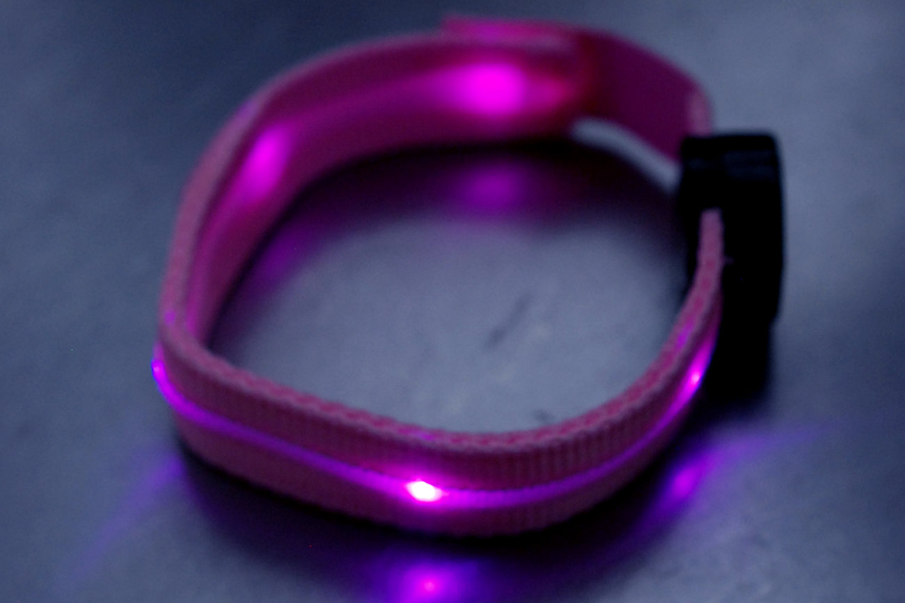 レトリーバー,台風