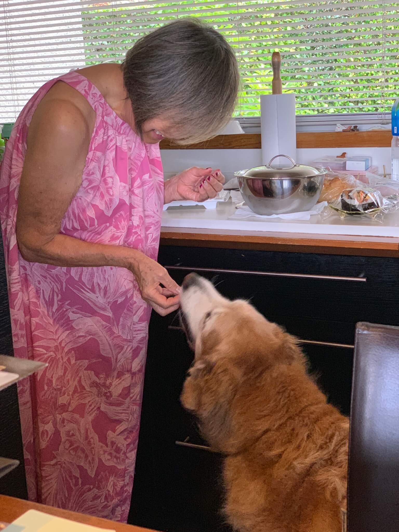 レトリーバー,ごはん