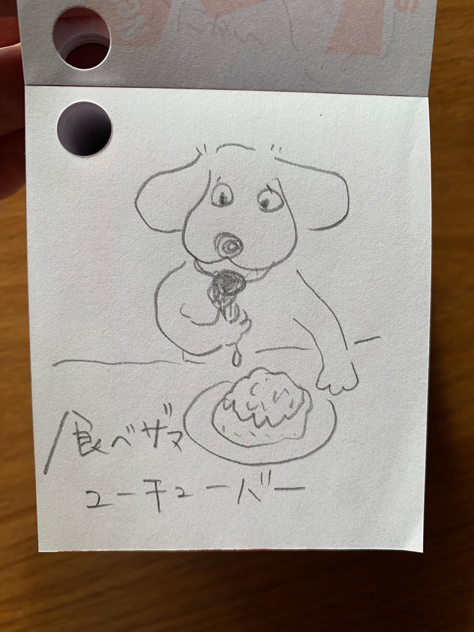 レトリーバー,ごはん