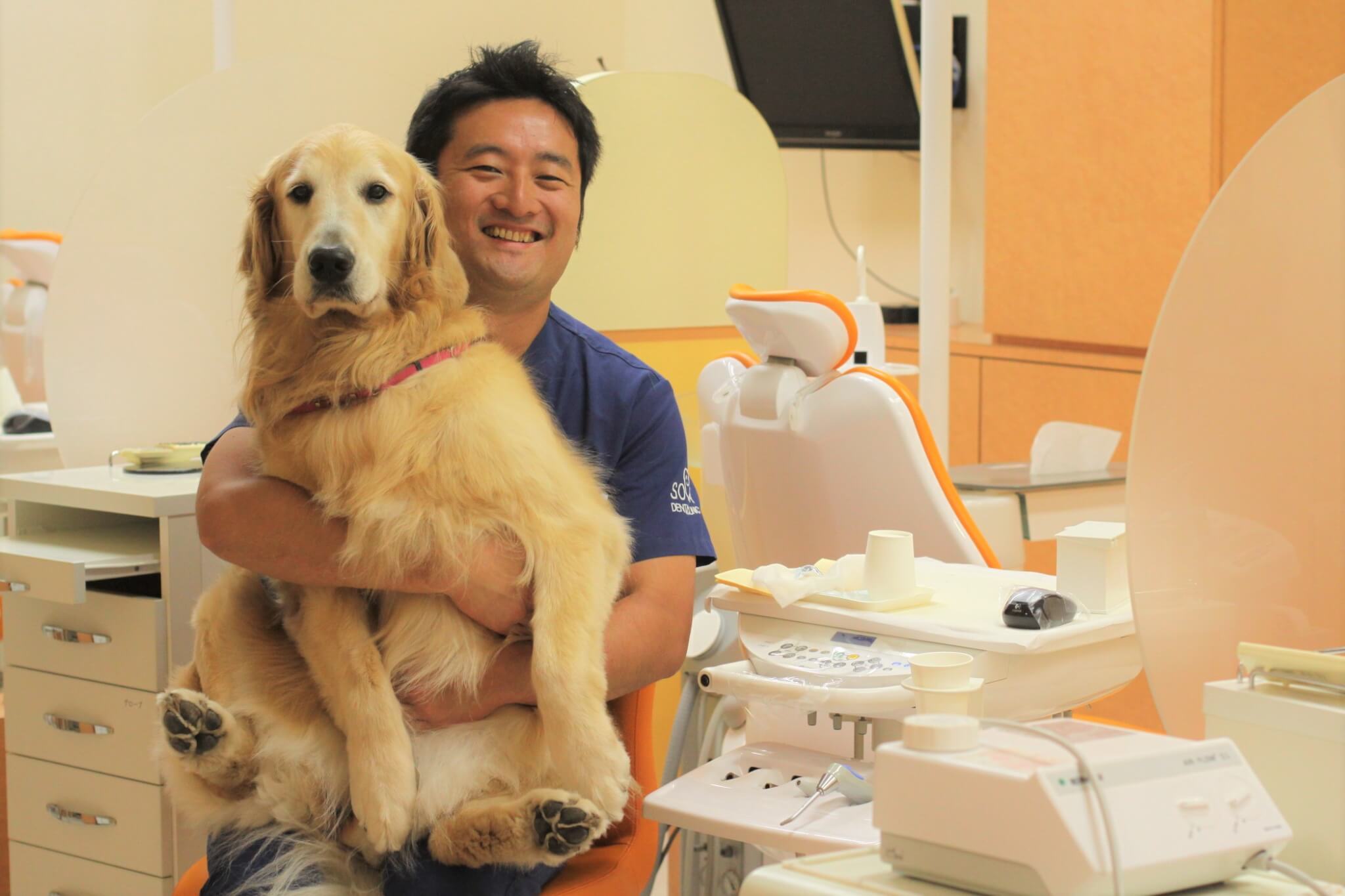 歯科医,ゴールデンレトリーバー