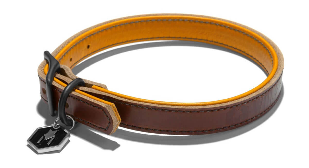 レトリーバー,ウルフギャング