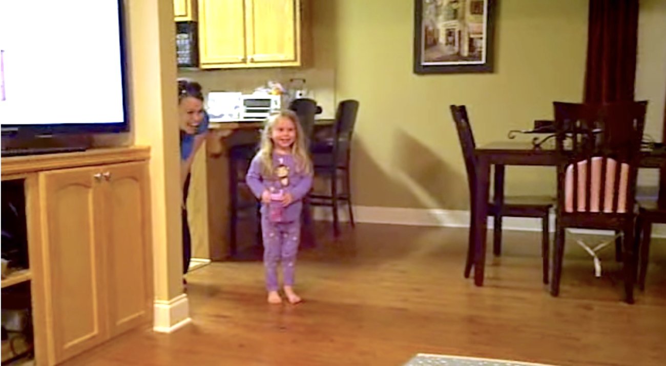 ラブラドールレトリーバー,動画