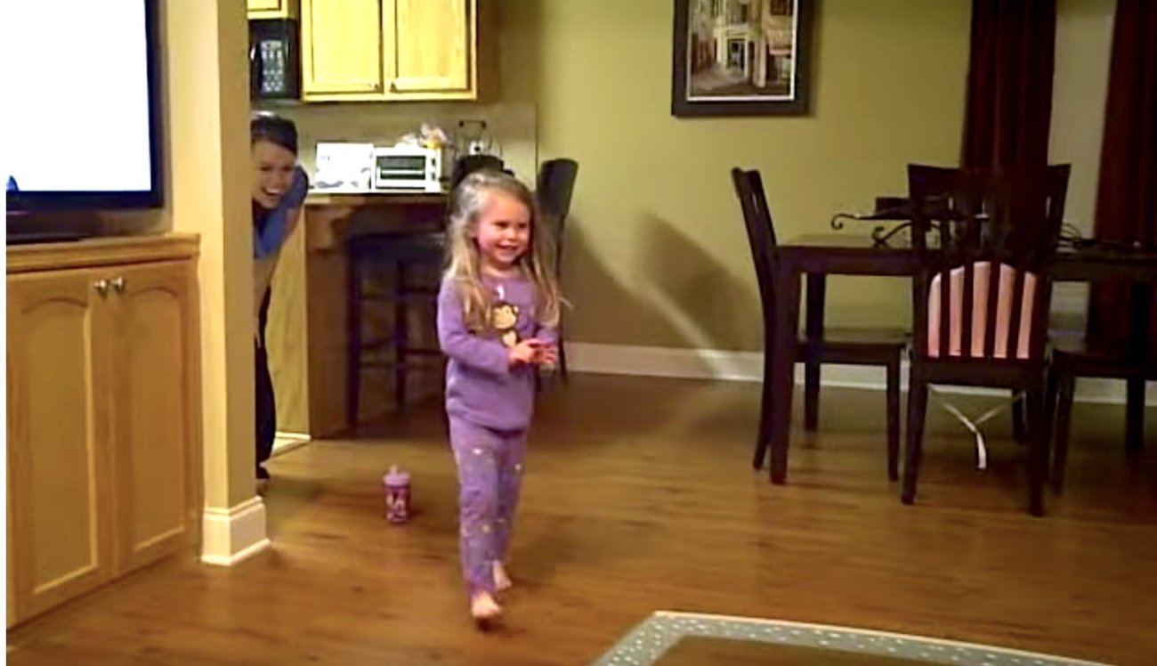 ラブラドールレトリーバー,動画