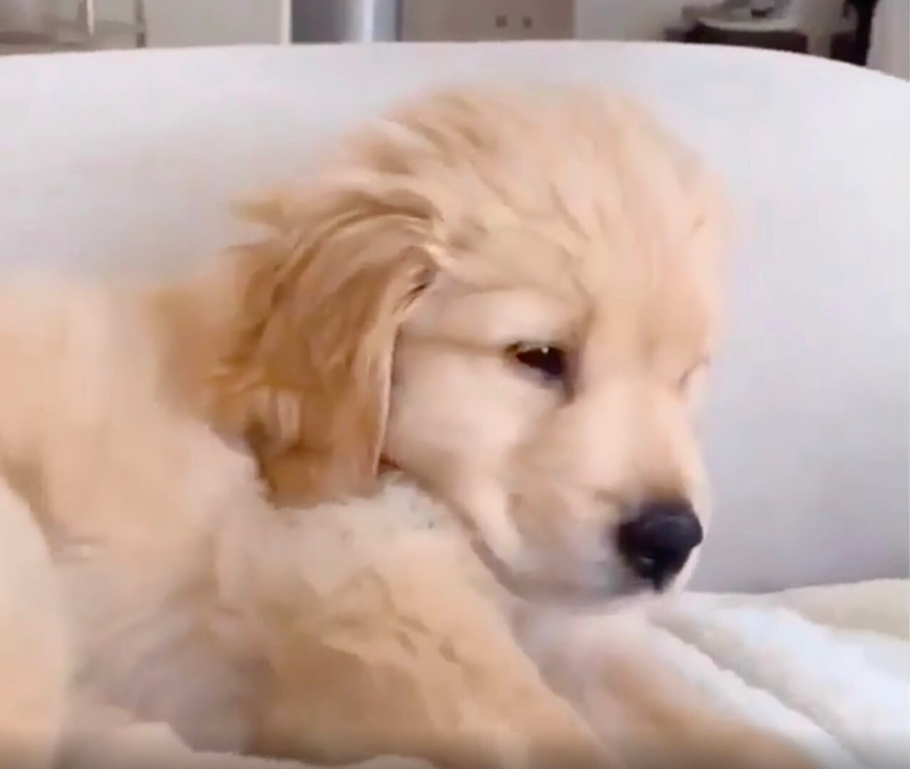 ScreenShot 2019-10-29 0.12.54