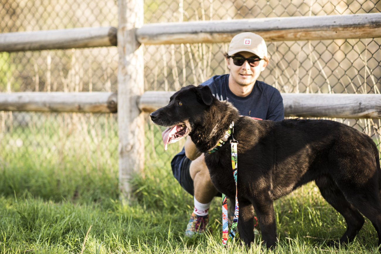 レトリーバー,ウルフギャング