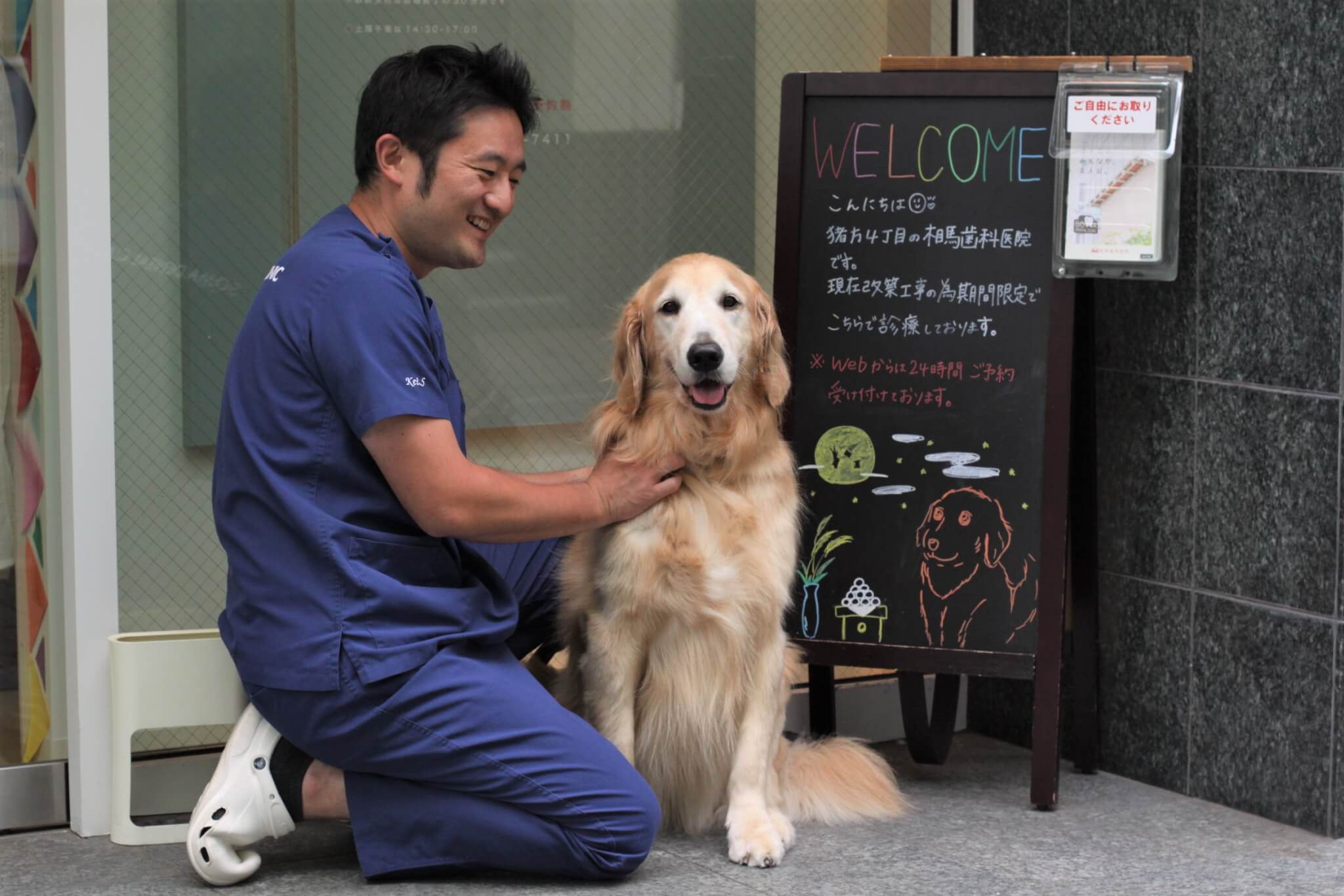 歯科医,ゴールデンレトリーバー