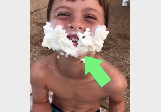 ゴールデンレトリーバー,動画