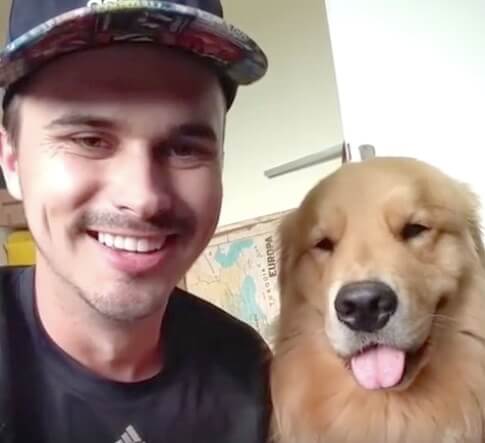 ゴールデンレトリーバー,動画