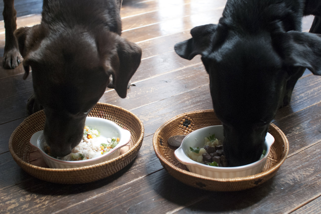 レトリーバー,ごはん
