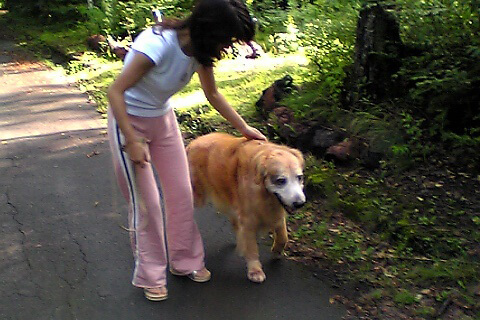 レトリーバー,コミュニケーション